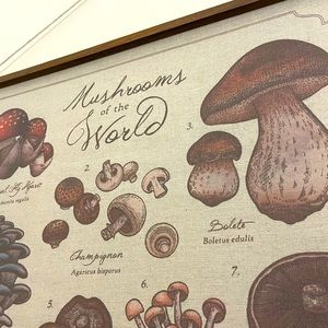 Mushrooms of the World Fabric Poster